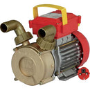 CE Rover Brass Transfer Electric Pump