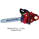 Motosega Globex 40cc Lama 40 Motore a Scoppio Catetna Oregon Carburatore Walbron
