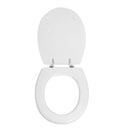 Sedile Wc Per Globo Vaso Amica Forma 6 - Tavoletta WC Dianhydro