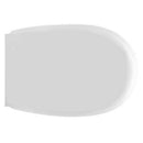 Sedile Wc Per Globo Vaso Diva Bianco Forma 6 -Tavoletta WC Dianhydro