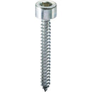 Vite Autofilettante Zincata Bianca Tcce Ambrovit  Diam. 4,8 mm - Da 4,8X13mm a 4,8x60mm